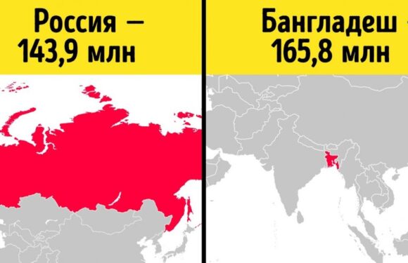 Интересные факты и статистика