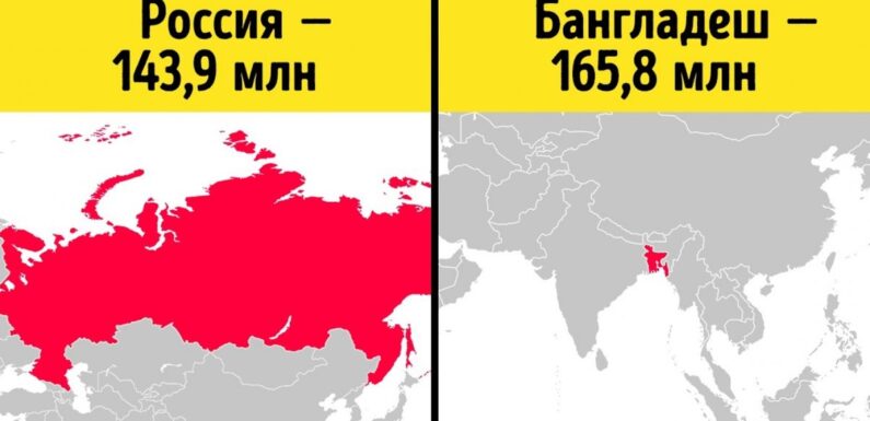 Интересные факты и статистика